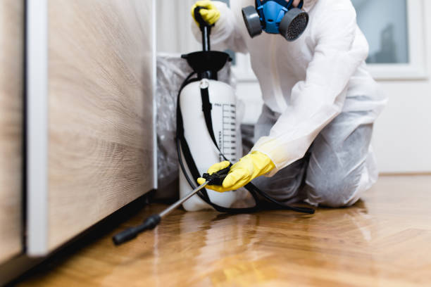 Best Bed Bug Extermination  in Redfield, AR