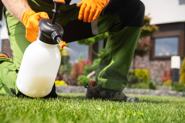 Best Affordable Pest Control Services  in Redfield, AR