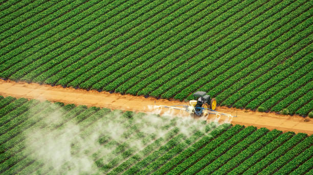 Best Wasp Removal Services  in Redfield, AR