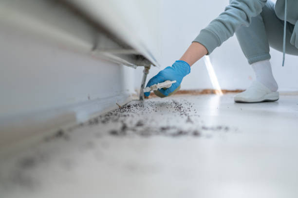 Best Flea Control Services  in Redfield, AR